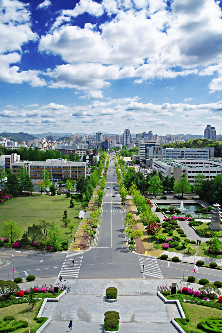 忠南国立大学